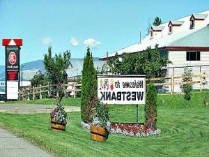 Chrystal nuru massage in Macedonia OH